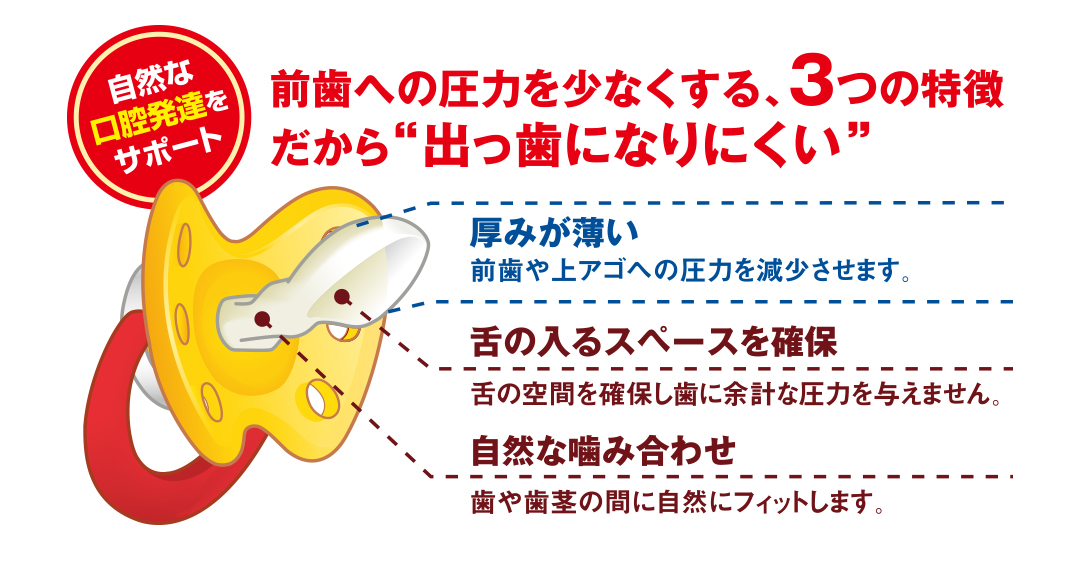 前歯への圧力を少なくする3つの特徴 だから出っ歯になりにくい