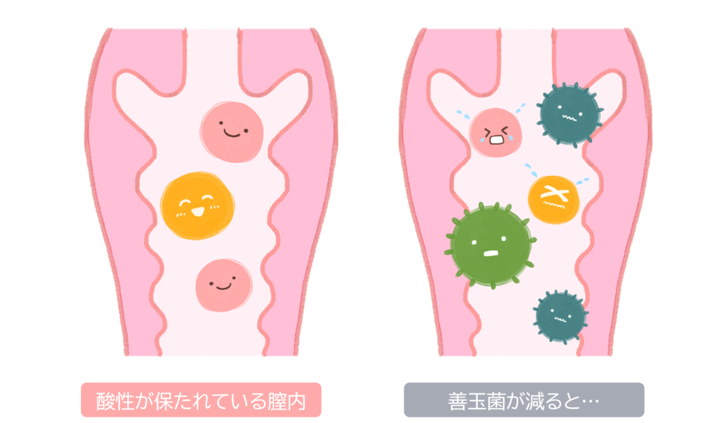 おりものの変化 妊娠中 産後 育児研究室 Chuchu公式サイト