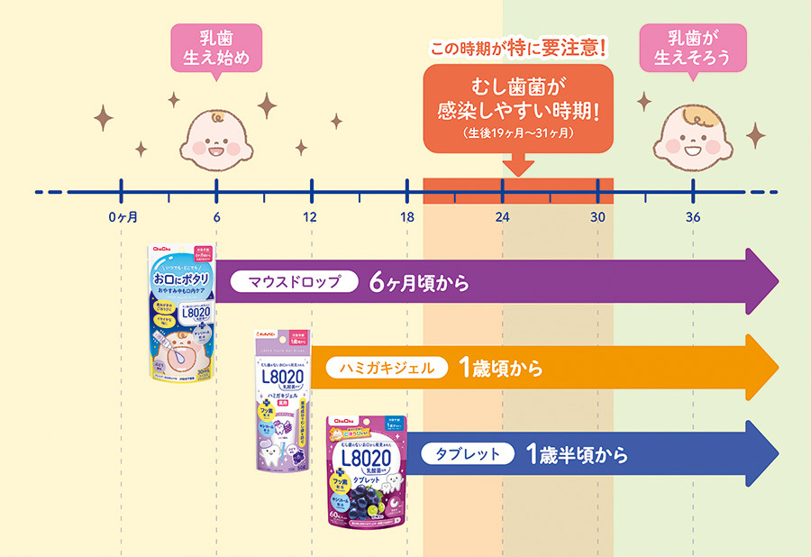 むし歯菌の感染タイミングとチュチュのおすすめ製品