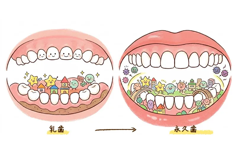 [画像：お口の環境と感染の窓のイメージ]